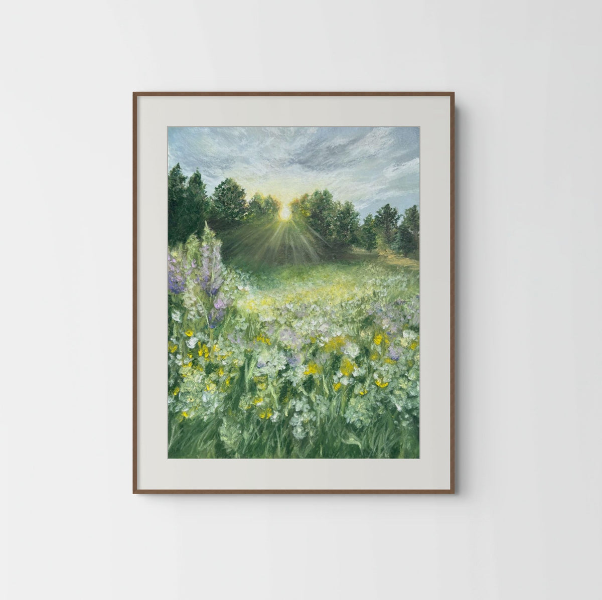 Morning Sunlight